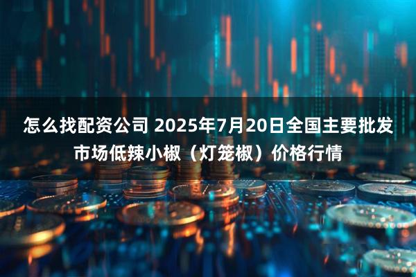 怎么找配资公司 2025年7月20日全国主要批发市场低辣小椒（灯笼椒）价格行情